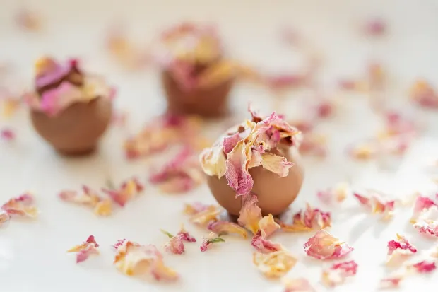 Pedalada10 Kasino Apl Android/iOS